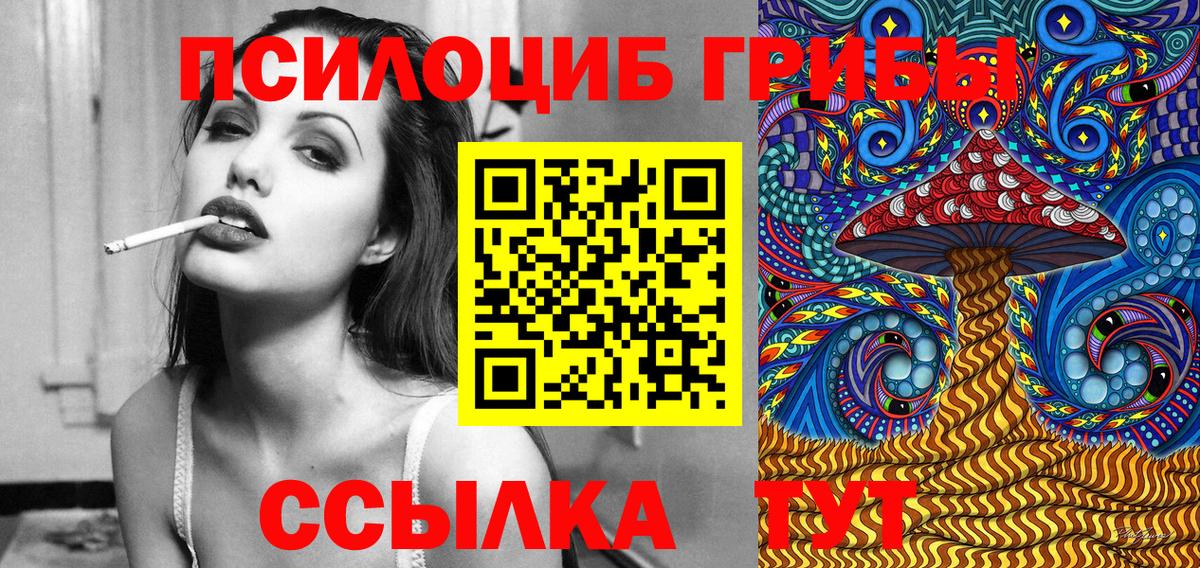 Галлюциногенные грибы Psilocybine cubensis Сальск