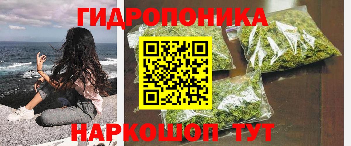Конопля MAZAR Сальск